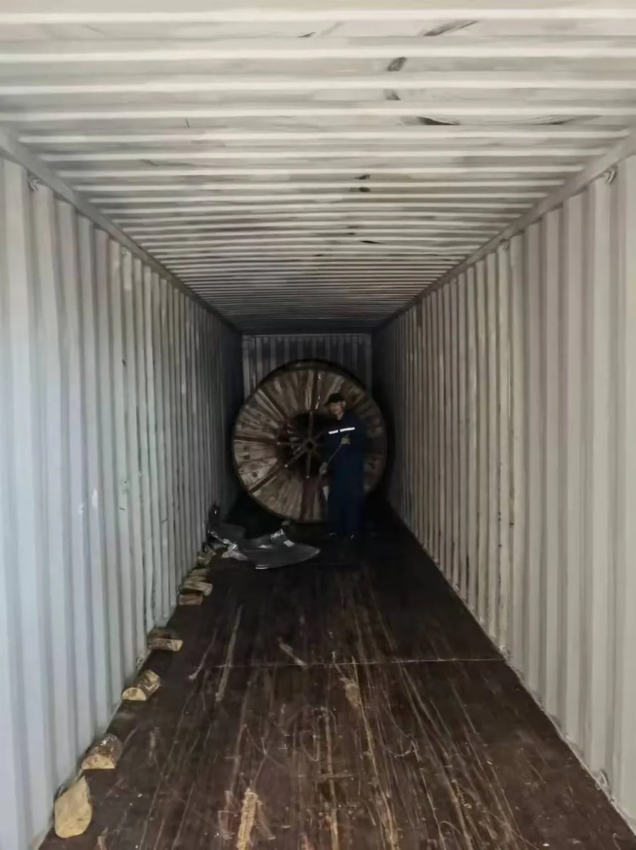Packing & Loading Record 20