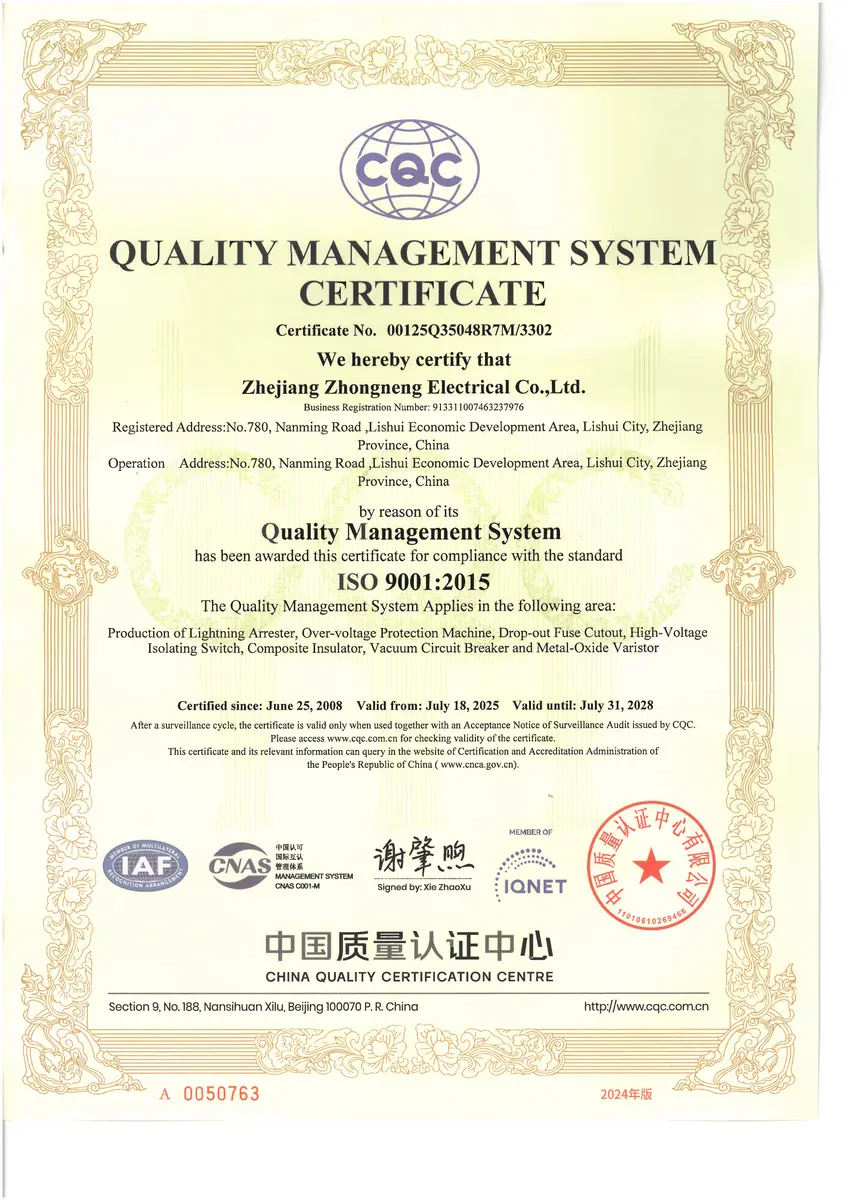 Zhongneng ISO 9001 certificate preview