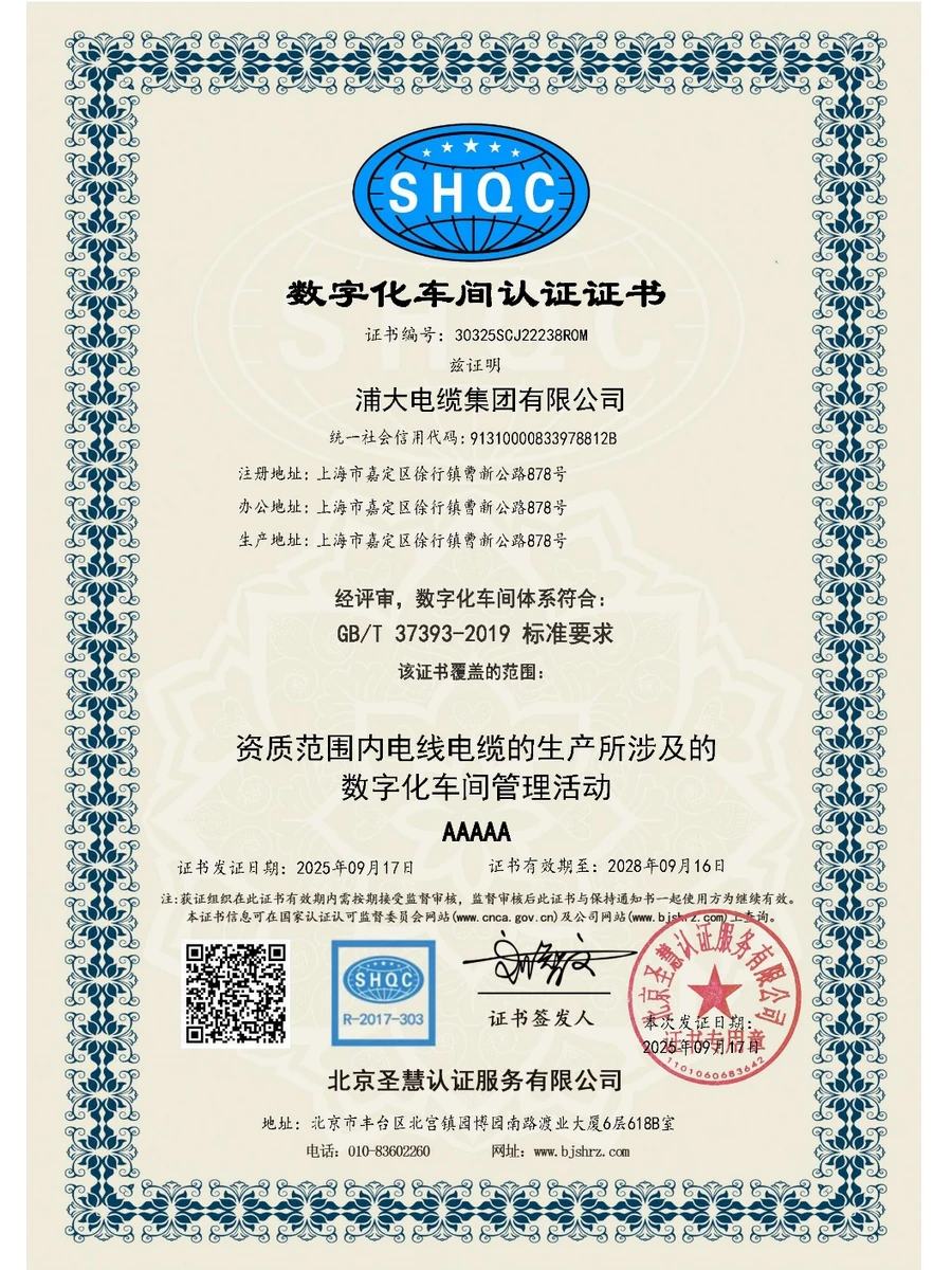 Digital Workshop Certification preview