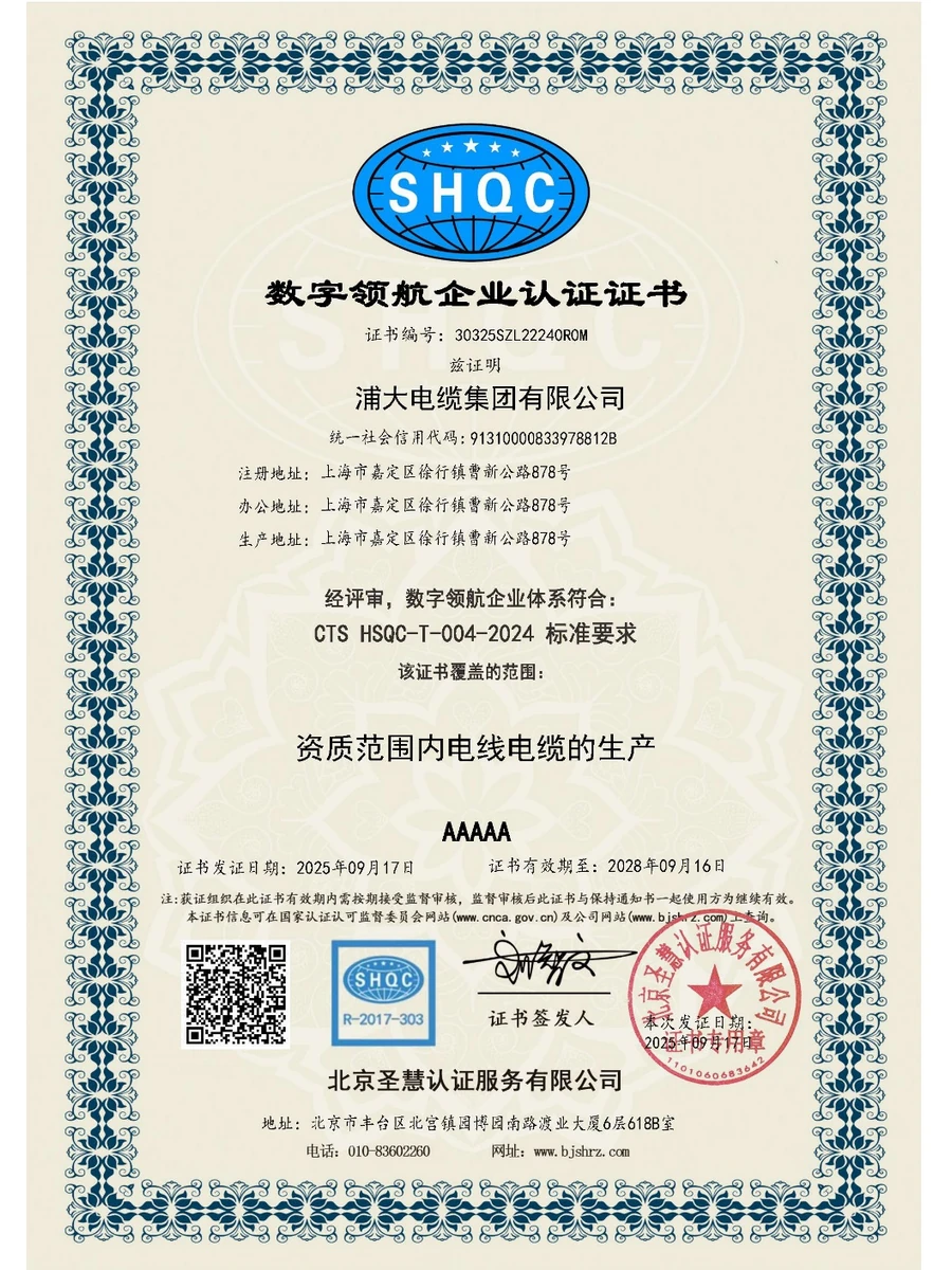 Digital Leadership Enterprise Certification preview